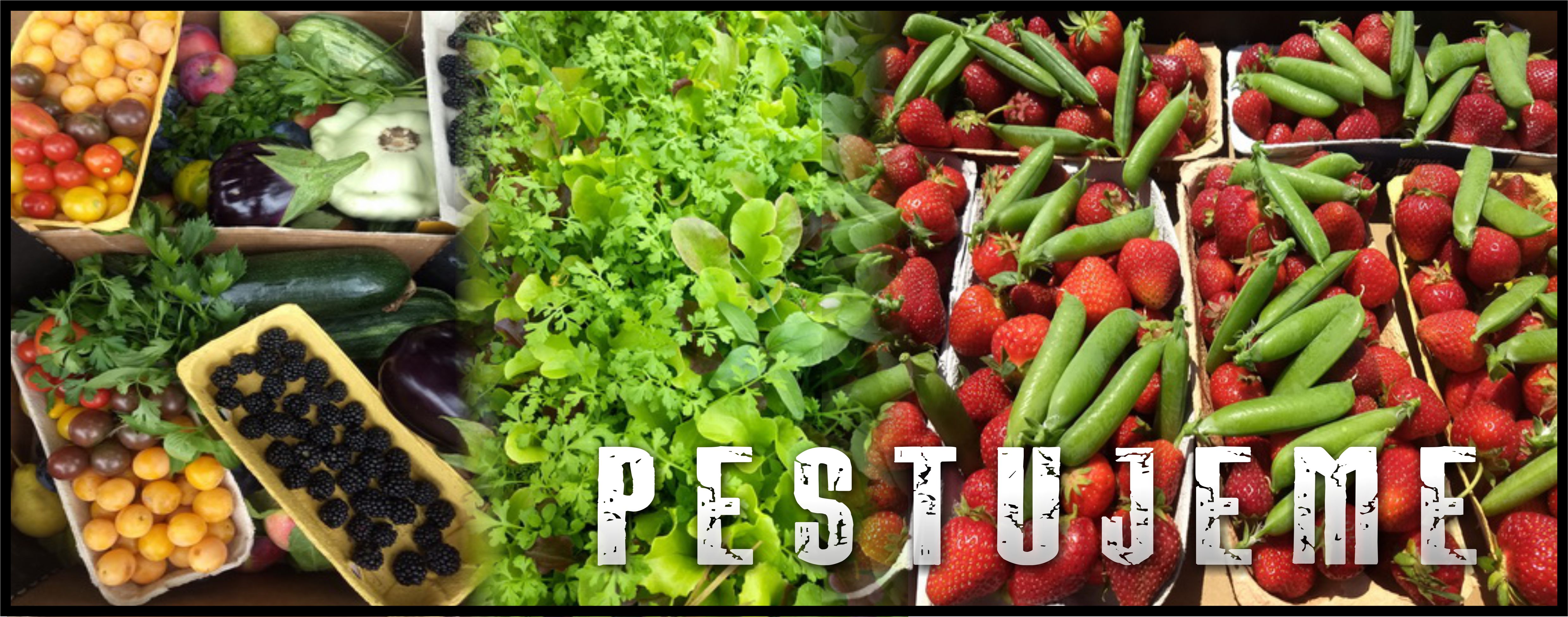 pestujeme-2.jpg